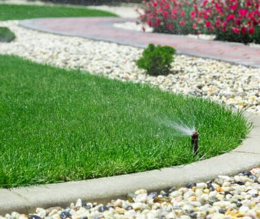 Lawn Care Munford, TN