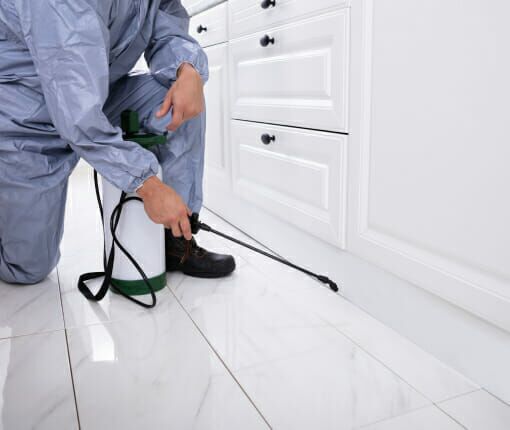 Pest Control Brighton, TN